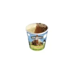 Ben & Jerry's Ice Cream Karamel Sutra 465g