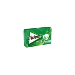 Trident Long Lasting Chewing Gum Spearmint 