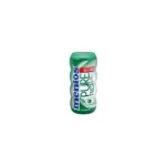 Mentos Gum Pure Fresh Wintergreen In Bottle