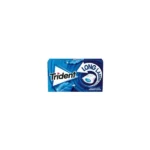 Trident Long Lasting Mint Chewing Gum