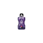 Bolero Instant Drink Forest Fruits