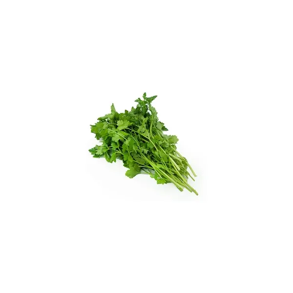 39_result Parsley Bunch 100g - Image 1