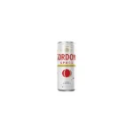 Gordon's Space 250ml