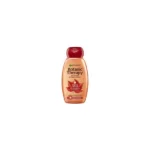 Garnier Botanic Therapy Shampoo Maple Healer 400ml