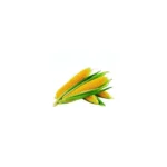 Fresh Corn 800g