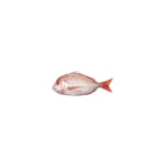 Fresh Farmed Sea Bream