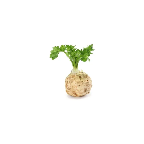 78_result Celery Root 400g - Image 1