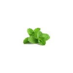 Mint Bunch Packed 100g