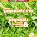 Barba Stathis Lettuce Salad
